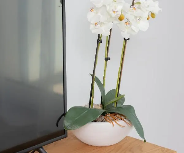 شقة Deluxe Sucha By Renters *