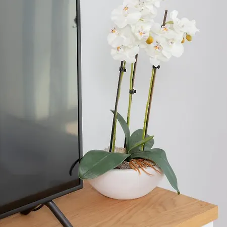 アパート Deluxe Sucha By Renters *